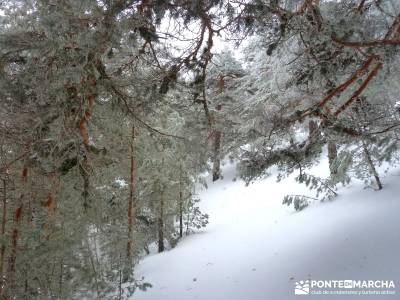 Raquetas de Nieve - Puerto de Cotos; grupos amistad; itinerarios madrid;rutas para senderismo